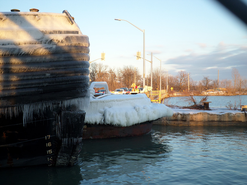 closeup view of Colleen McAllister's stern