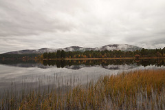 Loch Morlich