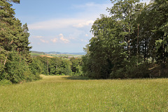 NSG Tannbüel - Ausblick in den Hegau (2)