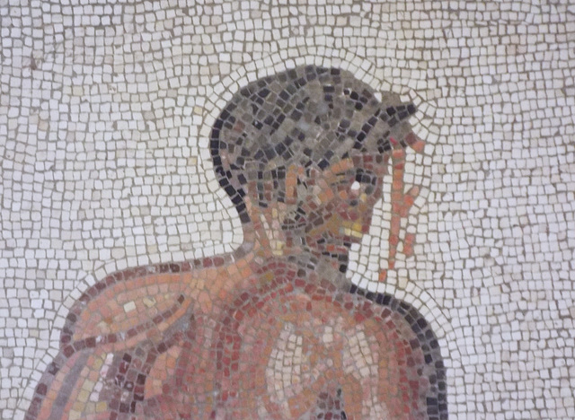 Detail of the Combat between Dares and Entellus Mosaic in the Getty Villa, June 2016