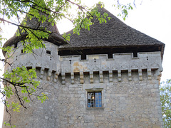 donjon,manoir de la salle SAINT LEON SUR VEZERE donjon,manoir de la salle SAINT LEON SUR VEZERE