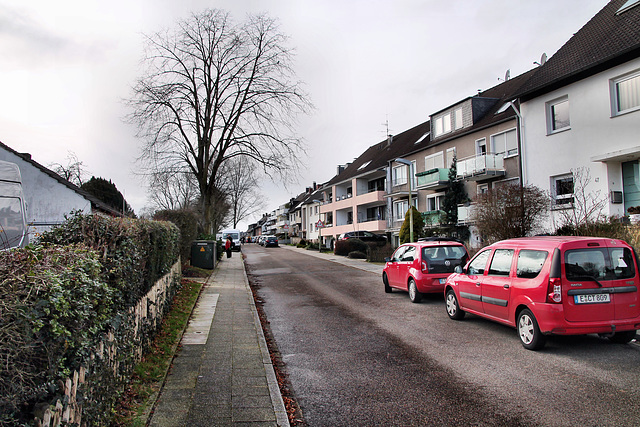 Kevelohbusch (Essen-Überruhr) / 10.02.2024