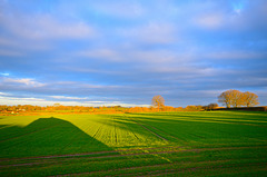 Gnosall fields