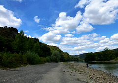 DE - Bacharach - On the banks of the Rhine