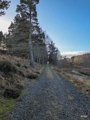 The rail track south of the Bogway