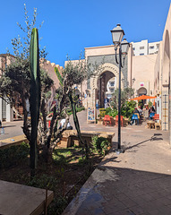 Entre cactus et lampadaire Entre cactus et lampadaire