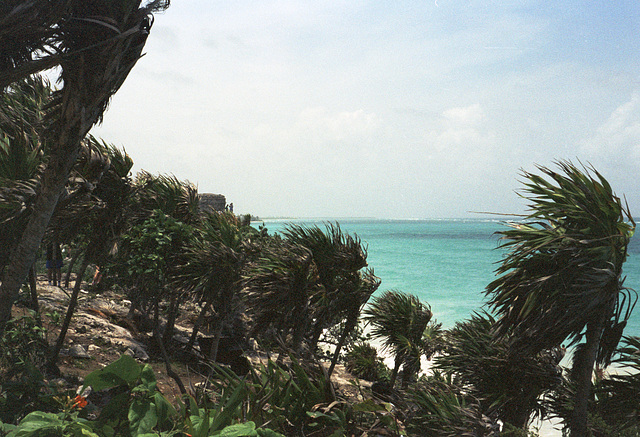 Tulum agfa