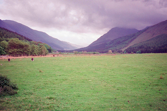 Looking towards Ennerdale Forest and the summit of Pillar in cloud (Scan from May 1990)