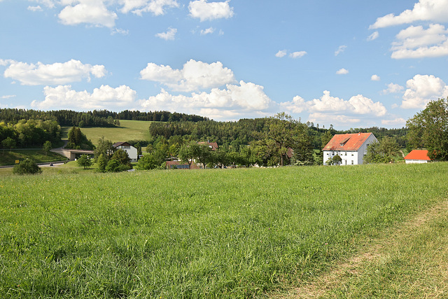 NSG Tannbüel - Blick nach Blumberg-Nordhalden