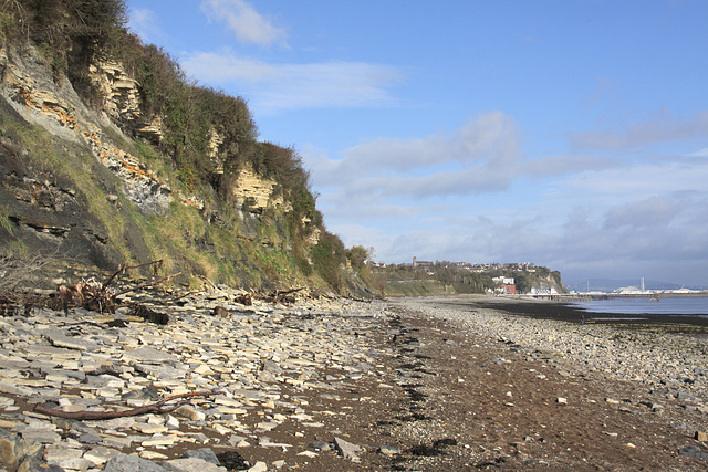 Beach View