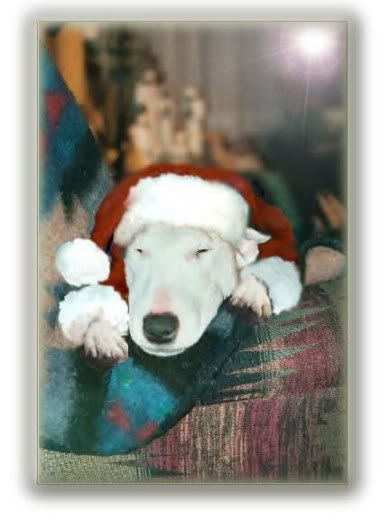 santa casper