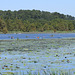 Canoe Day at Noxubee NWR