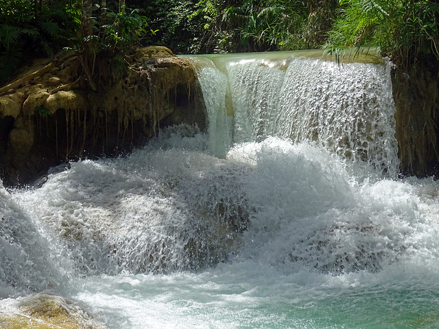 Kuang si , Luang Prabang _Laos