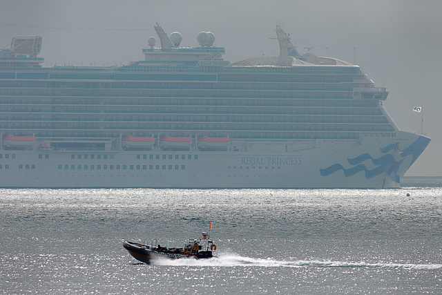 EOS 90D Peter Harriman 09 19 19 68416 regalPrincess2 dpp