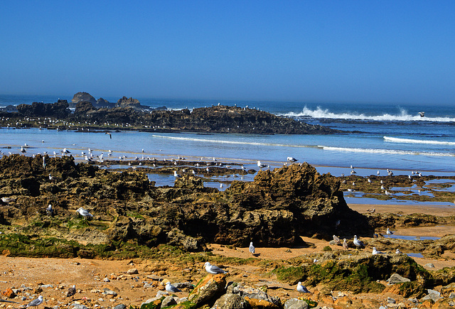 Essouira