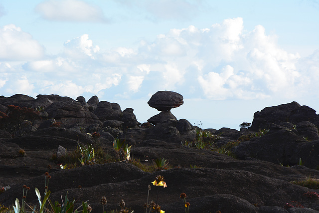 Venezuela, The Stone Mushroom at the Exit to the Plateau of Roraima at the End of the Climb along the South-West Ascent Trail