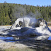 Grotto Geyser, Yellowstone National Park