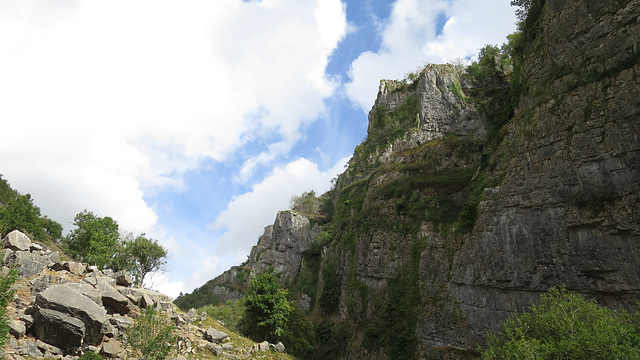 Cheddar gorge