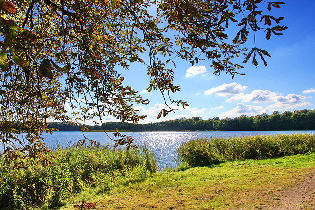 Am Dobbertiner See