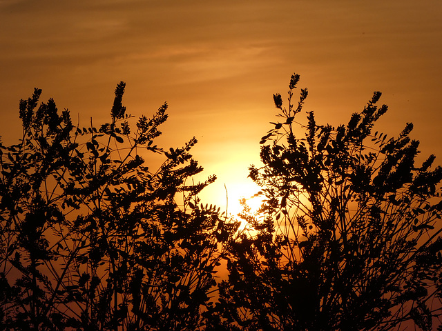 Sonnenuntergang am 19.09.2018