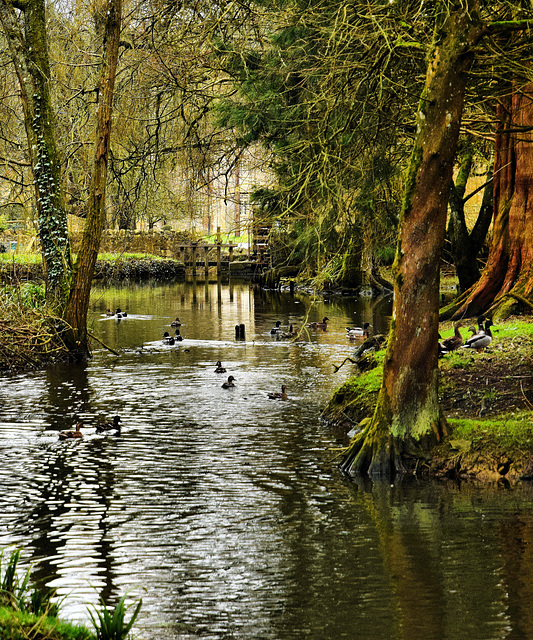 Milborne Wick.