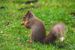 Sunday breakfast in the orchard