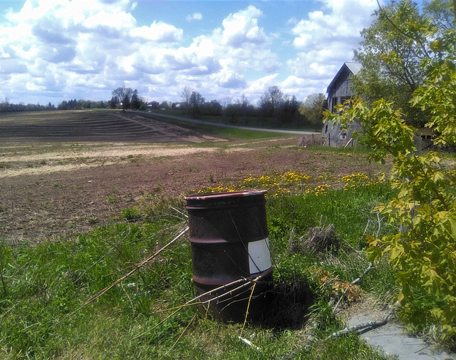 Baril pittoresque / Picturesque barrel