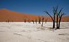 Deadvlei