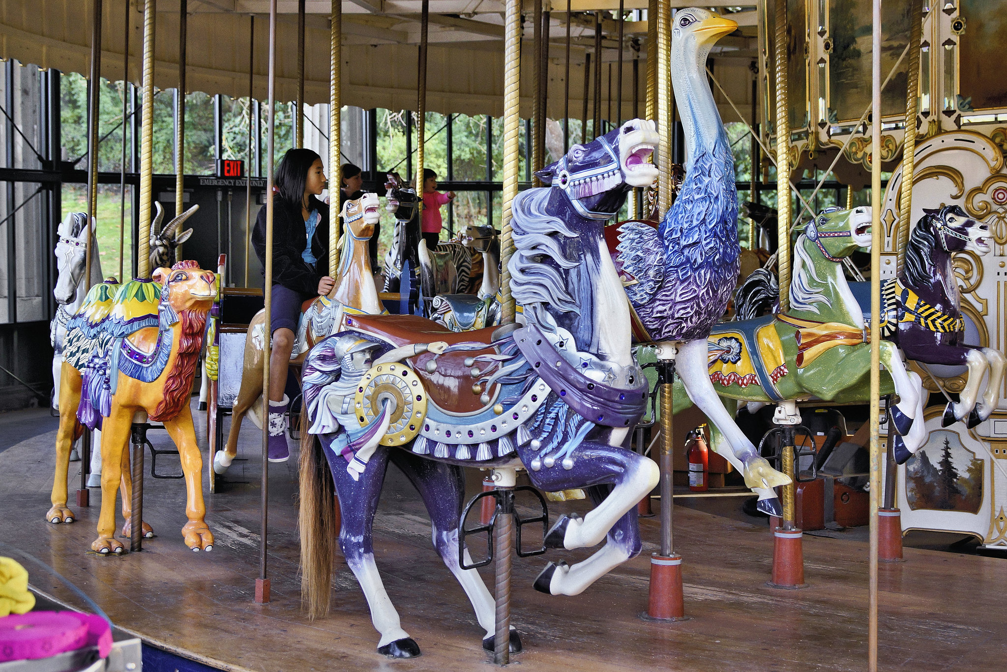 I'd Walk a Mile for a Camel – Golden Gate Park, San Francisco, California