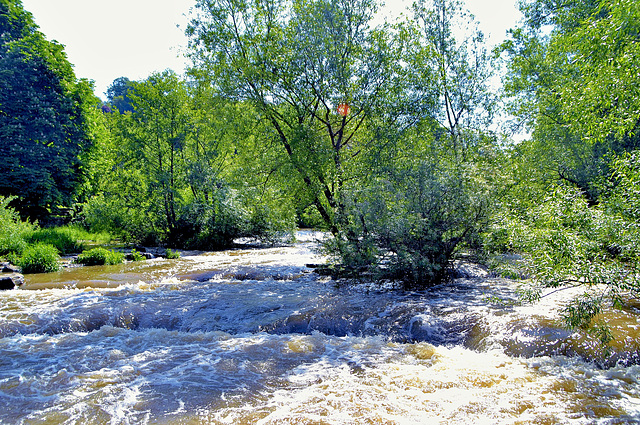 Mühlkanal-Schwäbisch Hall