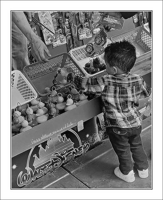 Quand je serai grand......je serai pêcheur de canards!!