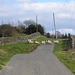 Sheep On The Road To Parton