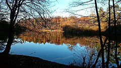 Autumn - Herbst