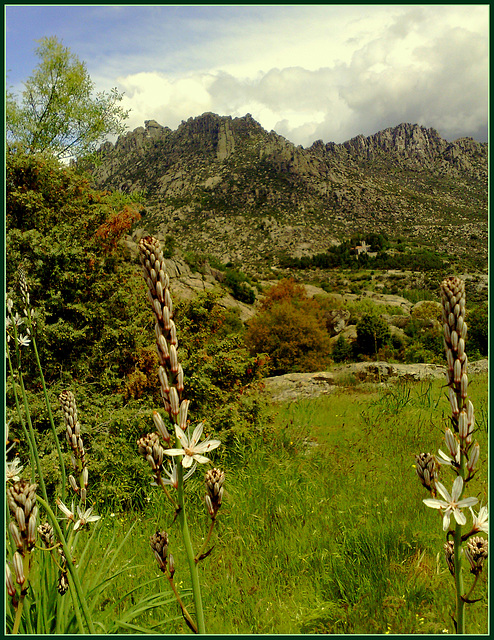 Asphodel, convent and granite.