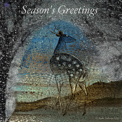 Season's Greetings