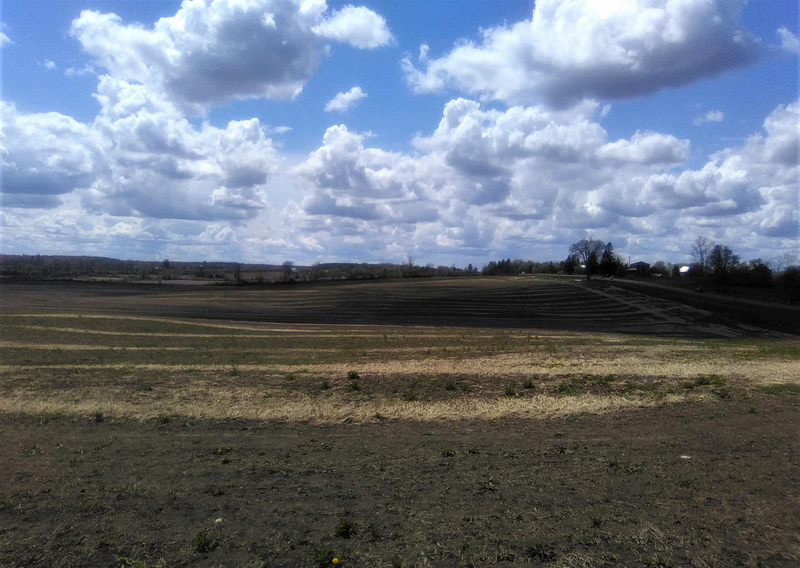 Paysage ontarien / Ontarian country side