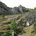 Cheddar gorge