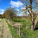 DE - Glees - Landschaft im Frühling