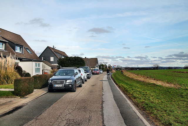 Heuweg (Essen-Überruhr) / 10.02.2024