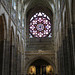IMG 7697