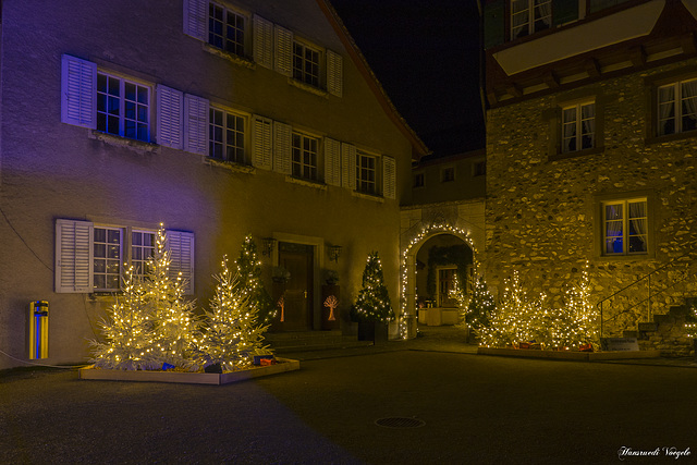 Schloss Laufen Kt Zürich (Schweiz)