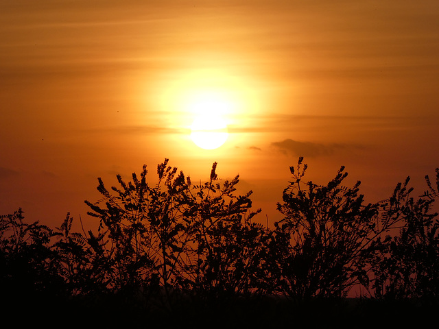 Sonnenuntergang am 19.09.2018