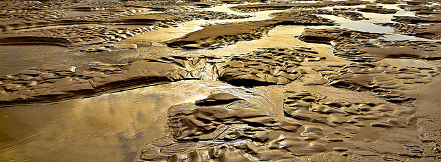 Tidal Sand Sculpture