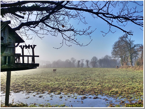 La brume matinale ne peut cacher le soleil.