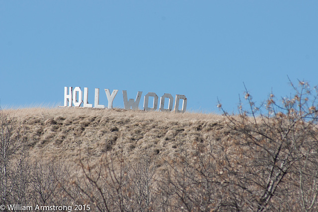 Hollywood on the Valley