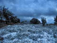 First Light At Camp