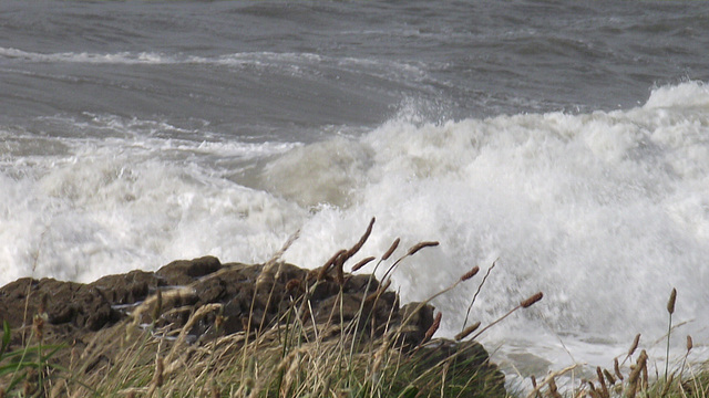 The waves were crashing onto the rocks