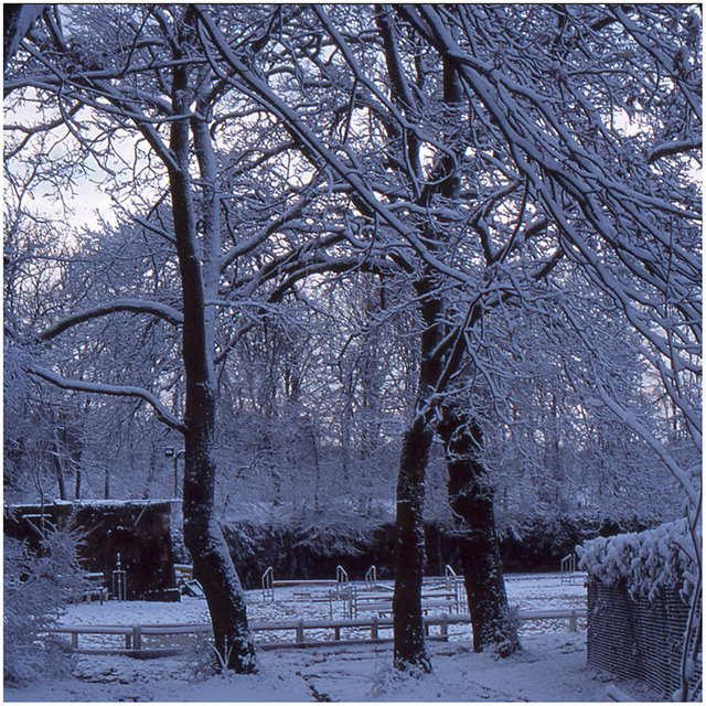 1-rocco-Maisons Laffitte sous la neige- (4)