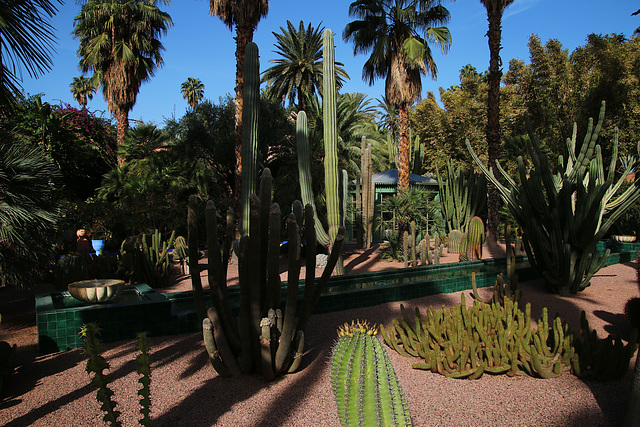 Jardin Majorelle à Marrakech .