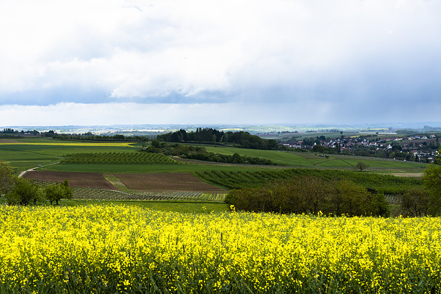 Die Regenfront